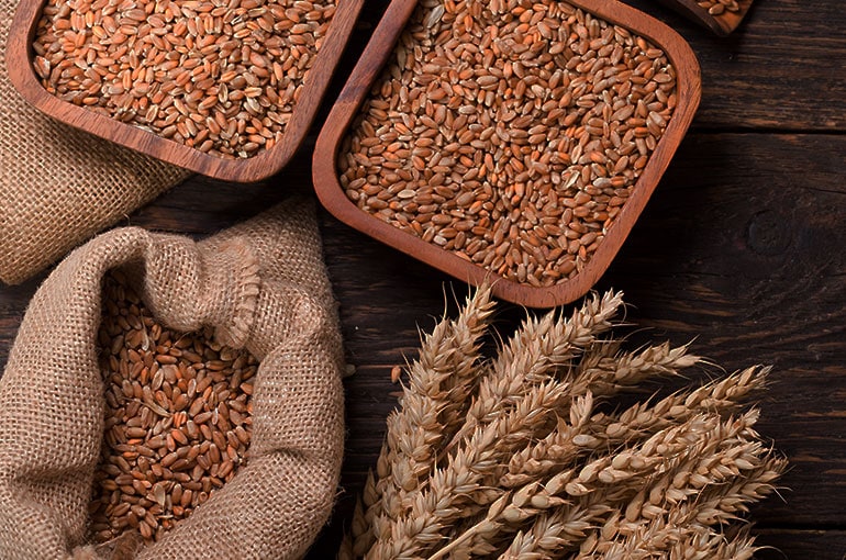 Ancient grains in burlap and wooden vessels with wheat heads on a table.